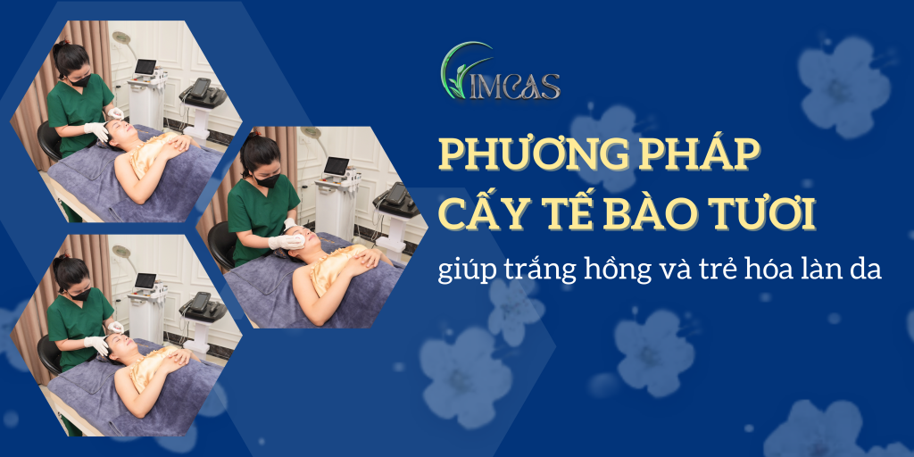 Tìm hiểu về phương pháp cấy tế bào tươi giúp trắng hồng và trẻ hóa làn da